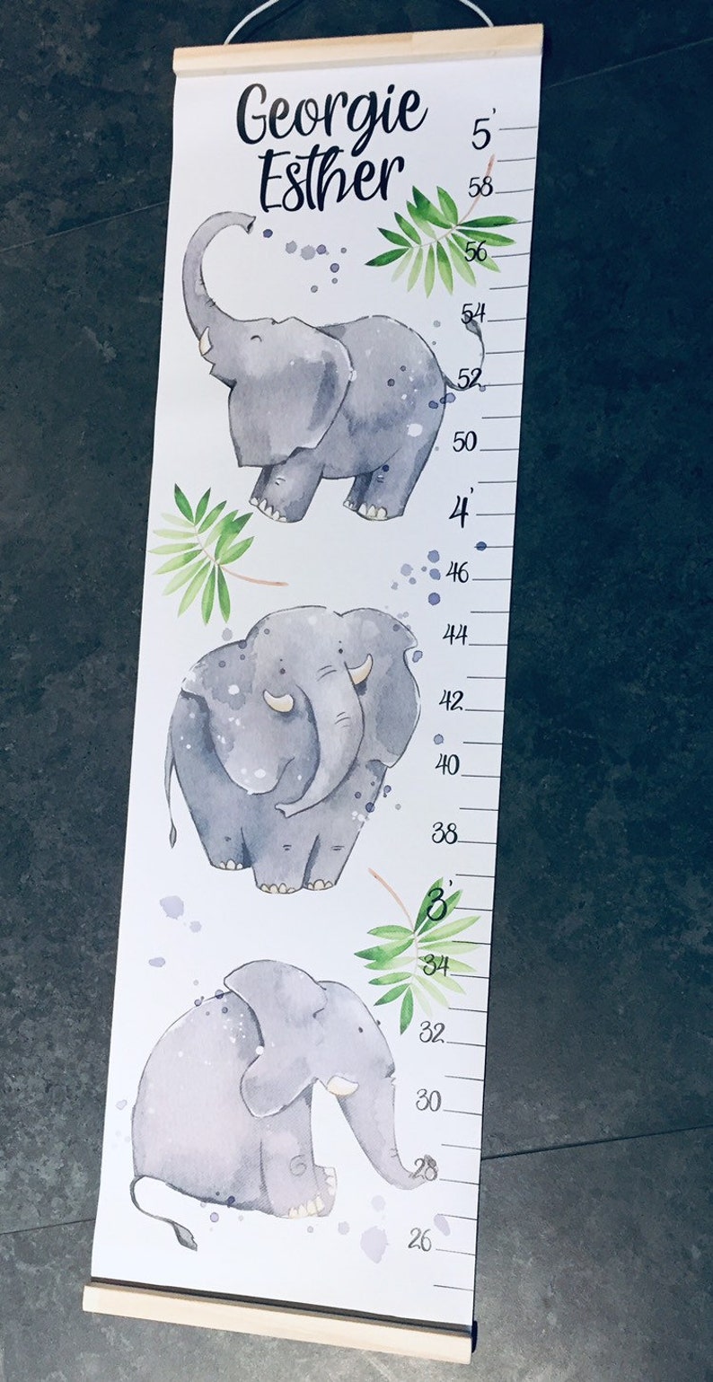 Elephant Height Chart Baby Elephant Growth Chart Animals Etsy