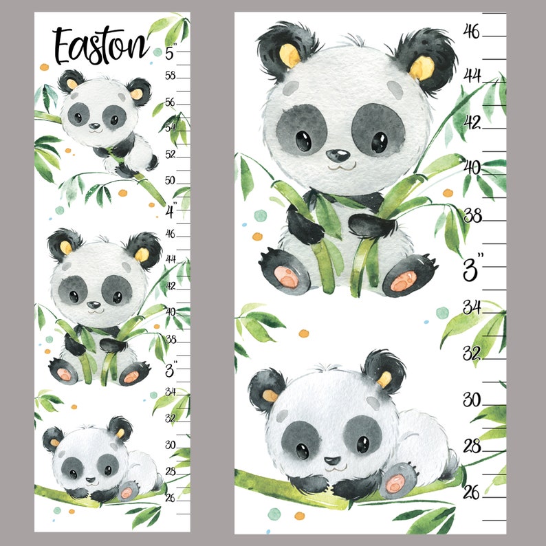 May include: A white growth chart with a panda bear design. The chart features a panda bear holding bamboo stalks and has a measurement scale from 26 to 46 inches. The chart is personalized with the name Easton.