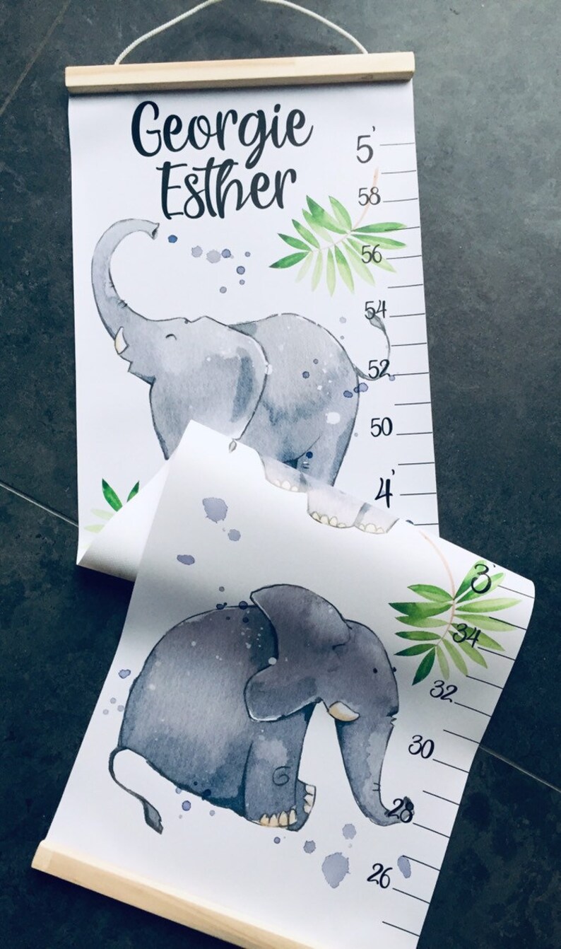Elephant Height Chart Baby Elephant Growth Chart Animals Etsy