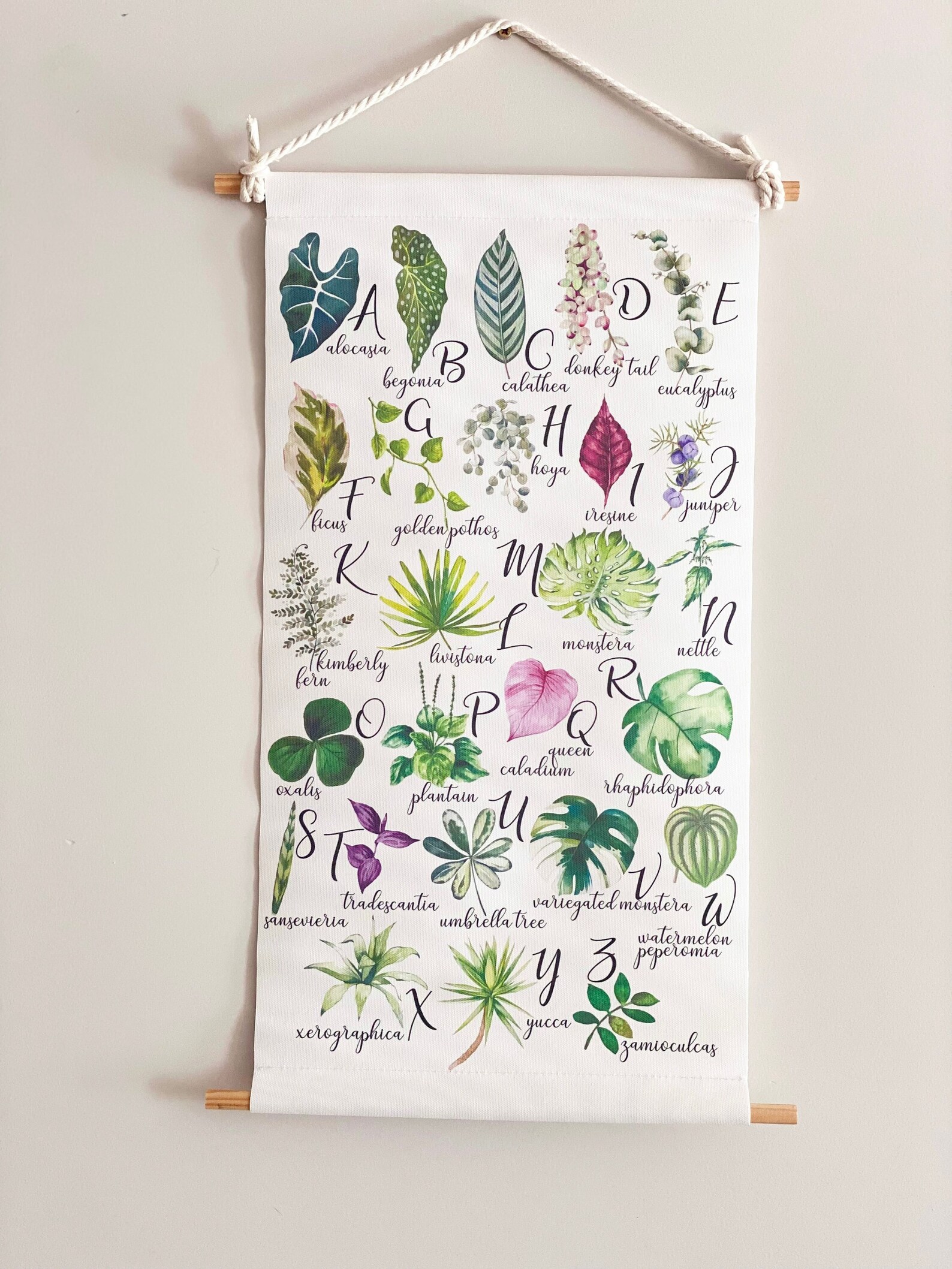 Houseplant Alphabet Poster Botanical ABC Wall Hanging Decor A-Z Plant ...