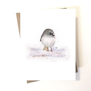 May include: A watercolor painting of a gray and white bird standing on a snowy surface. The bird has a small, dark beak and is looking to the right. The background is a light blue color.