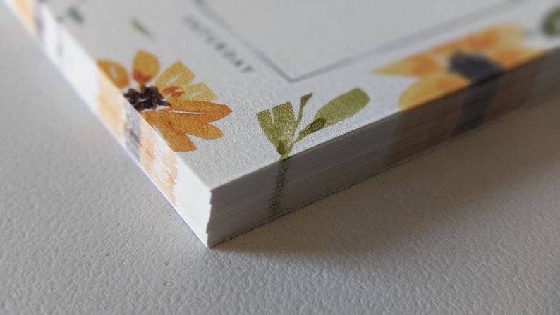 May include: A stack of white notepads with a sunflower design border. The notepads have a blank space for writing and the word "TODAY" printed on the top.