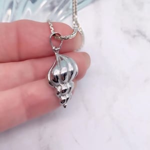May include: A silver seashell pendant necklace. The pendant is a detailed, three-dimensional seashell with a smooth, polished finish.