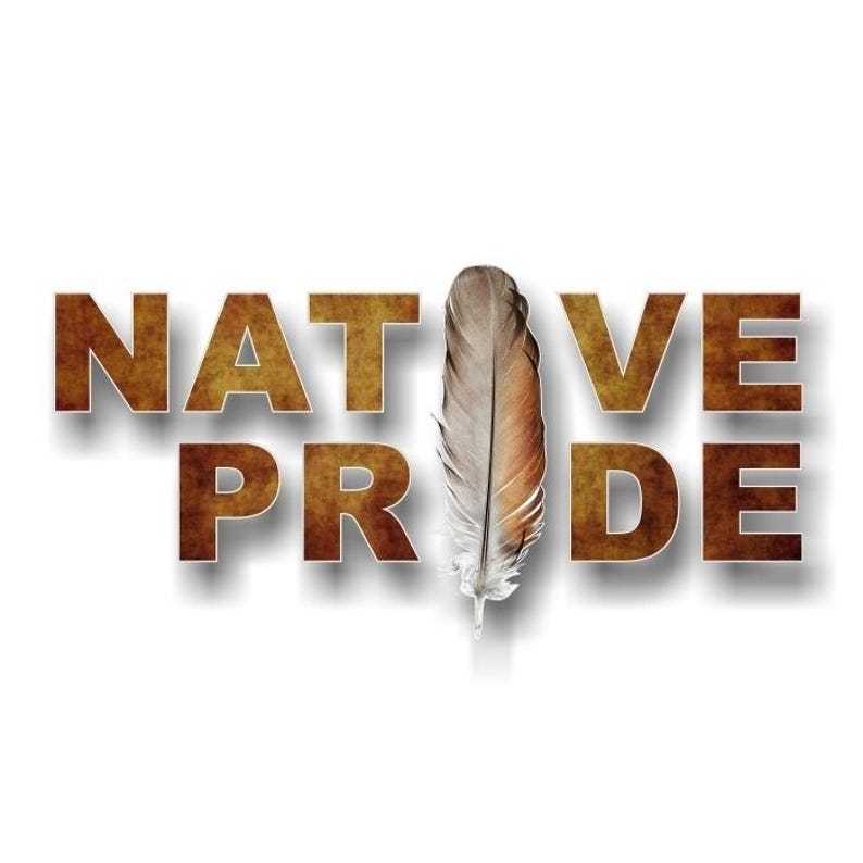 NATIVE PRIDE With Feather 9'' Vinyl Decal Native American Indigenous ...