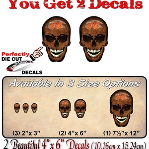 ZOMBIE Forbidden Skull Series Decals Zombie Exposed Brains Halloween