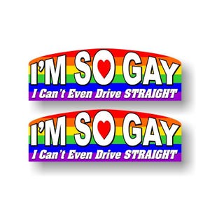 2 Eu sou tão GAY que nem consigo dirigir direito 9" Decalques LGBT Orgulho Presente Bandeira Arco-Íris Decalque para Gay Lésbica Carro Caminhão Adesivos de Vinil (Conjunto de 2 Decalques)