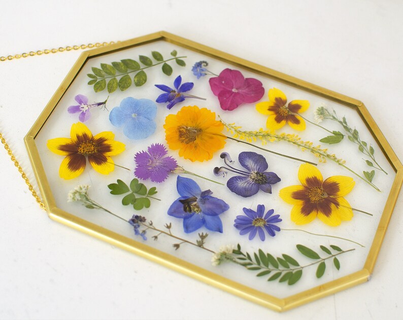 Framed pressed flowers Floating frame Dried flower art | Etsy