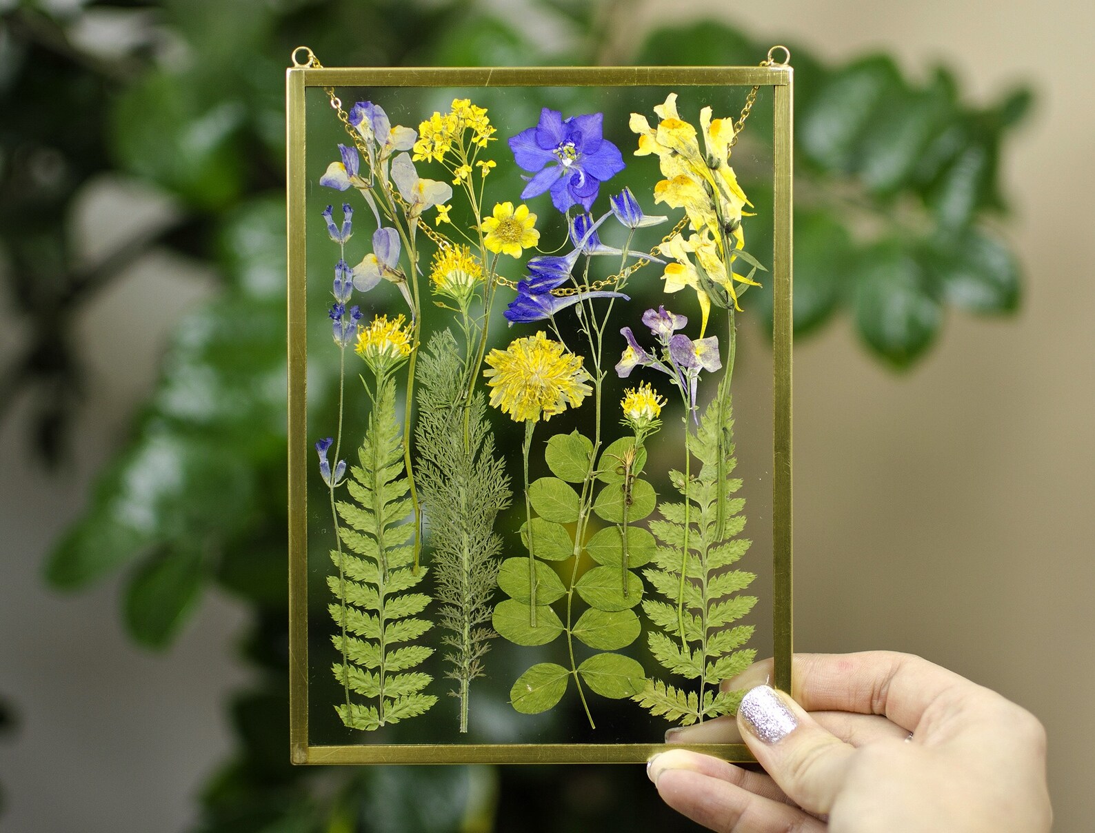 Framed pressed flowers Pressed flower frame art Floating Etsy