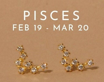 Pisces • Pisces earrings 1pair • Constellation earrings • Celestial earrings • Astrology • 925 sterling silver • Minimalist gold stud