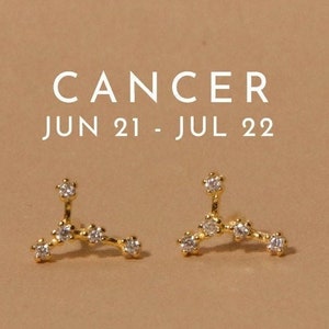Cancer • Cancer earrings 1pair • Constellation earrings • Celestial earrings • Astrology earrings • 925 sterling silver • Zodiac studs