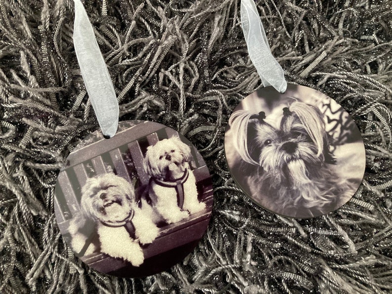 May include: Two round ornaments with black and white photos of Shih Tzu dogs. One ornament features a single dog looking at the camera, while the other ornament features two dogs sitting on a bench.