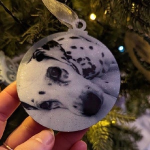 May include: A white and black dalmatian dog ornament with glitter, perfect for a Christmas tree.