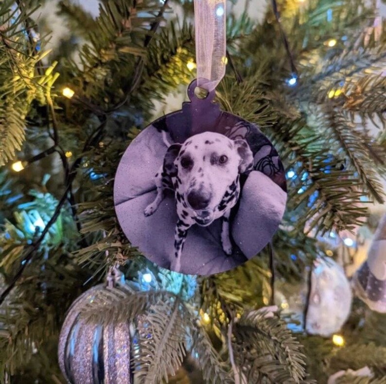 May include: A round, black, Christmas ornament with a photo of a Dalmatian dog looking at the camera. The ornament is hanging on a Christmas tree.