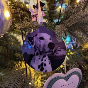 May include: A round Christmas ornament featuring a black and white Dalmatian dog with a white background. The ornament is hanging on a Christmas tree.