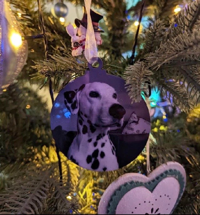 May include: A round Christmas ornament featuring a black and white Dalmatian dog with a white background. The ornament is hanging on a Christmas tree.