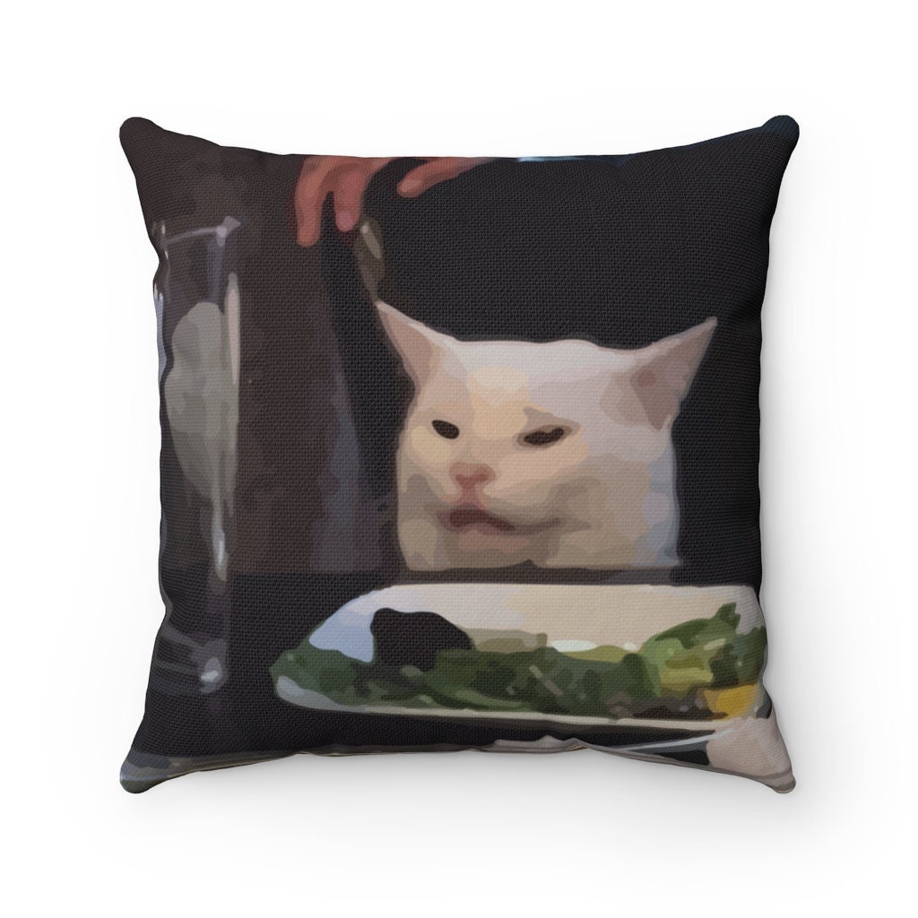 perfectly sane cat lady pillow