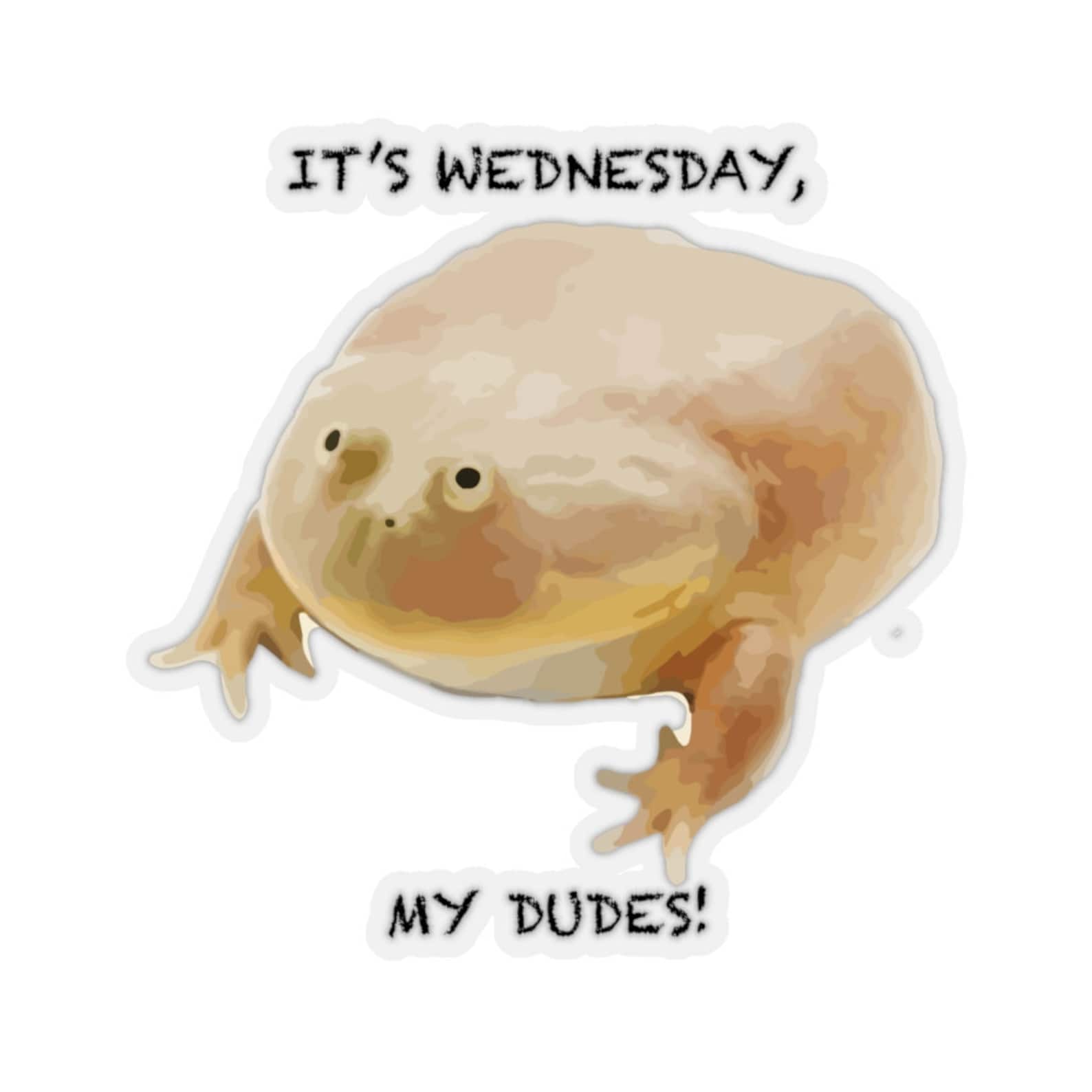 жаба its wednesday dudes. Wednesday my dudes мем. It wednesday my dudes жаба. жаба среда. лягушка среда.
