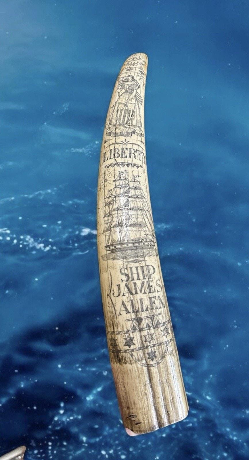 Vintage Scrimshaw FAUX Walrus Tusk 22 Inch Ship James Allen 1830