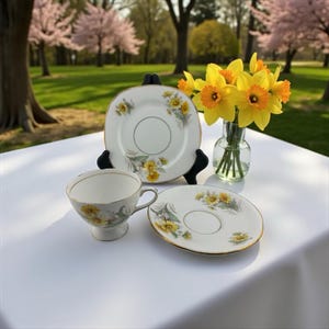 Royal Stafford Black and White - Etsy