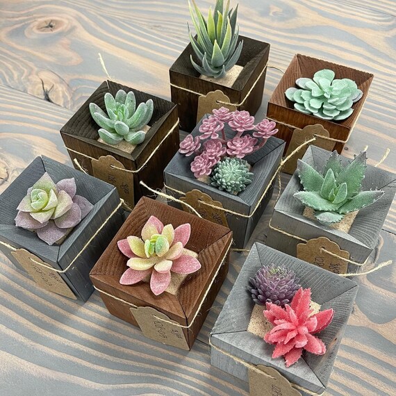 succulent vase Round Succulent Arrangement – Gray Planter main image 0