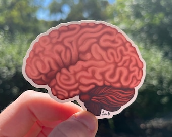 Menselijk brein: vinylsticker van 3 inch