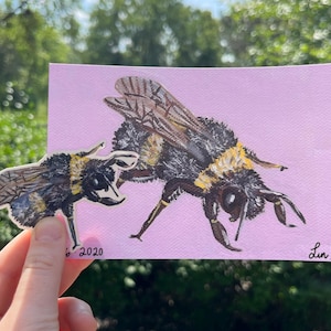 Honeybee - 3&quot; Vinyl Sticker and Photo Print