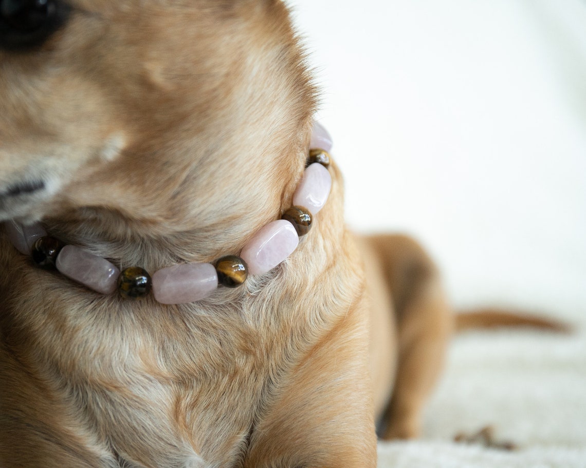 Healing Crystal Dog Collar Healing Crystals for Pets Etsy