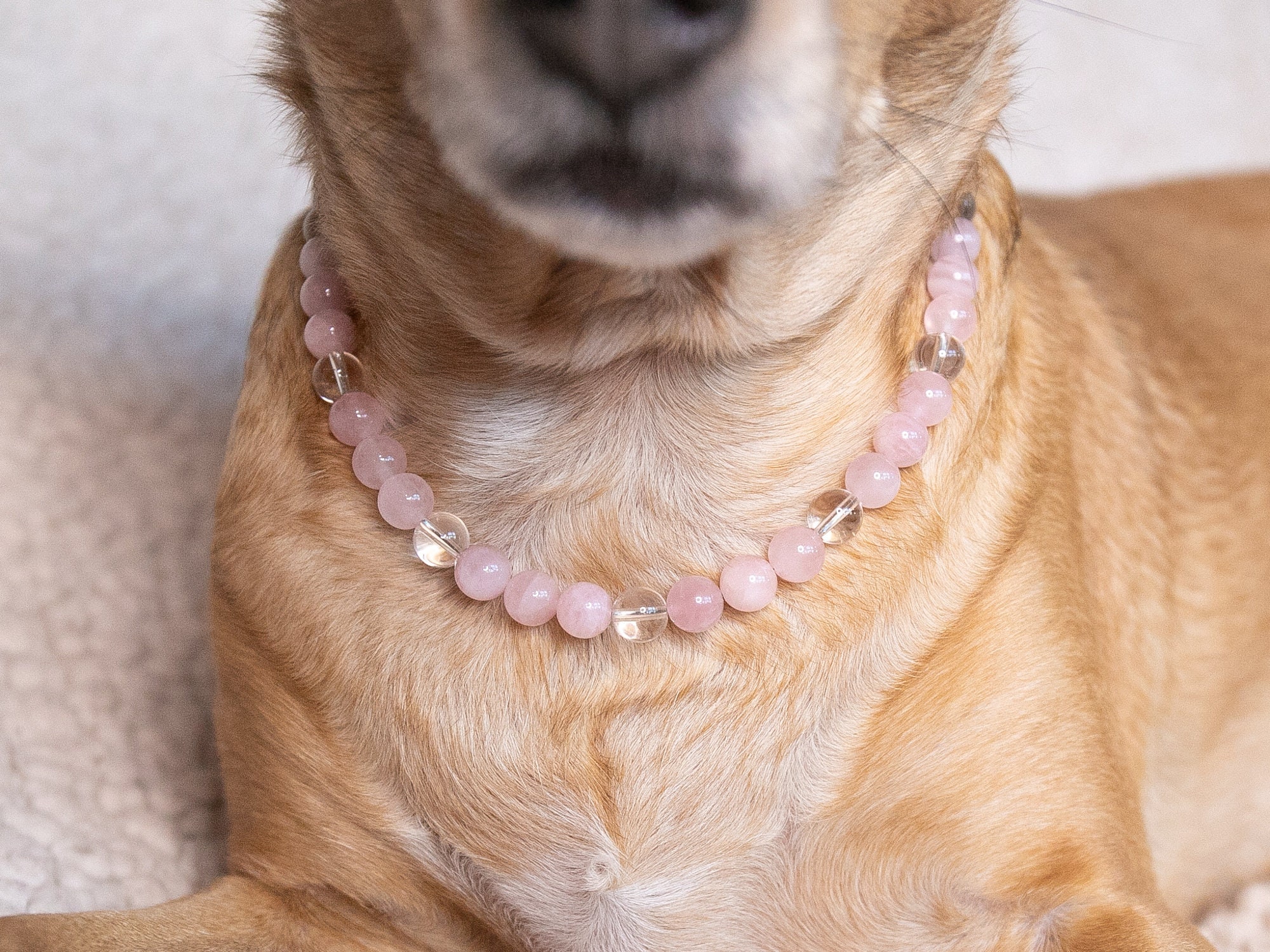 Custom Crystal Dog Collar Rose Quartz Collar Quartz Healing Etsy