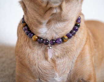 gemstone dog collars