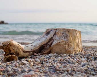 Michigan Driftwood Etsy