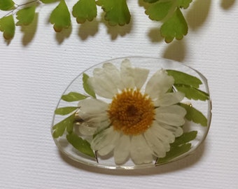 White daisy brooch