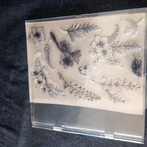 May include: Clear, rectangular stamp set featuring various floral and botanical designs. The stamps include detailed illustrations of flowers, leaves, and sprigs, perfect for crafting and scrapbooking projects. The stamps are arranged on a clear sheet.