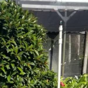 Beautiful Eugenia 1 Ball Sun Grown Elegant Topiary in 10 Inch Pot Live Plant Indoor Patio or Sun Room Décor Interior Design quality