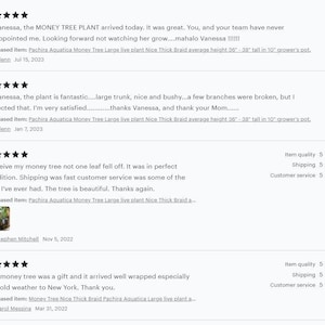 We are proud of our listings, these are just some of our five stars reviews. We have recurrent faithful customers.