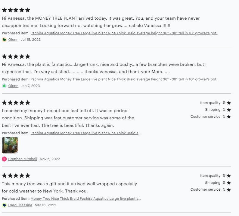 We are proud of our listings, these are just some of our five stars reviews. We have recurrent faithful customers.