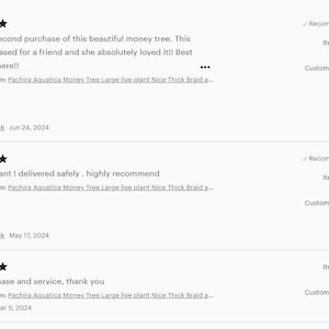 I’m so proud of the final product,  people love these beauties. These are just some of our five stars reviews. We have recurrent faithful customers.