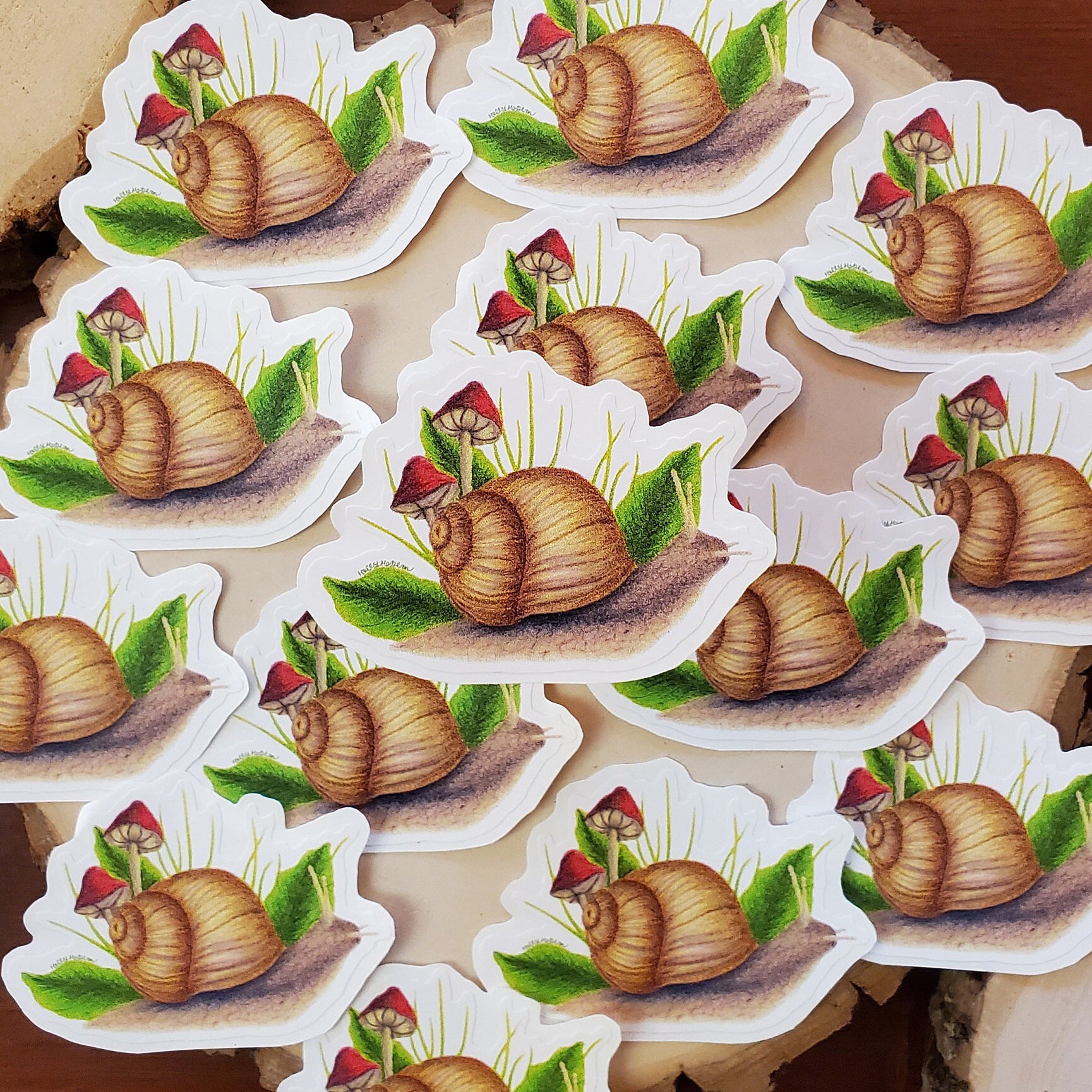 Snail sticker Vinyl decal for Laptop Water bottle Journal Etsy