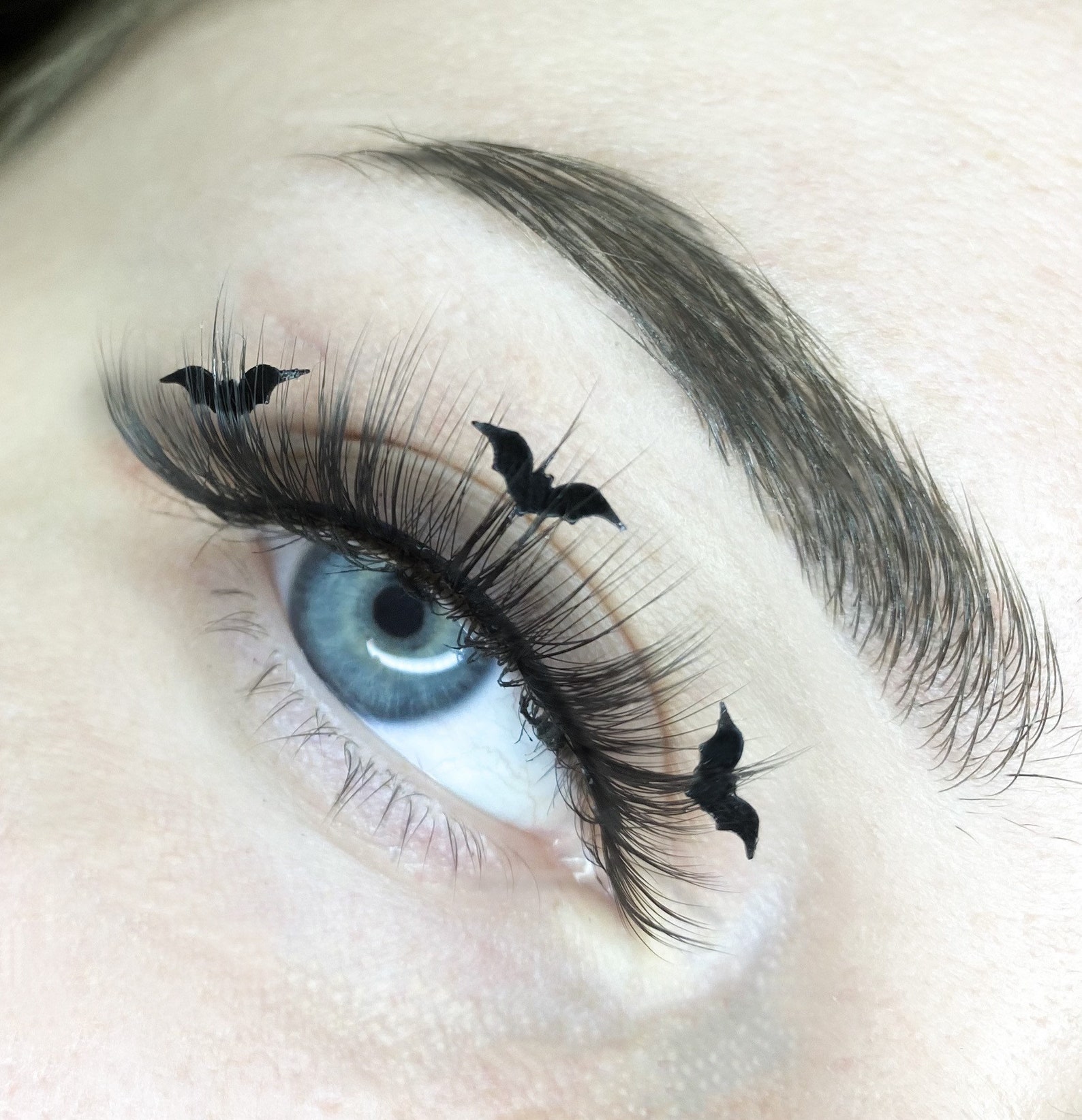 Halloween Bat Lashes Etsy