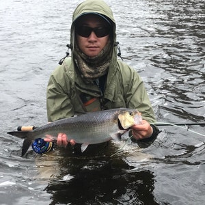 Fly Fishing for American Shad eBook