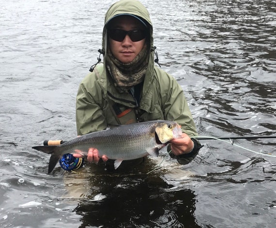 Fly Fishing for American Shad Ebook 