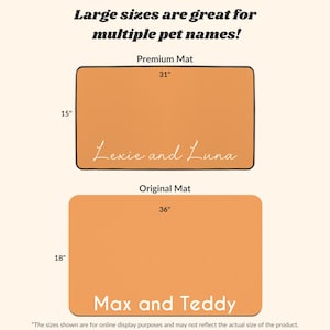 May include: Two orange pet mats with white text. The top mat is 31 inches by 15 inches and says "Lexie and Luna". The bottom mat is 36 inches by 18 inches and says "Max and Teddy".