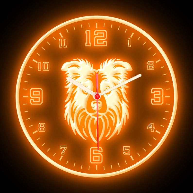 25ck1193 Border Collie Dog Pets Shop Wall Home Decor Colorful LED ...