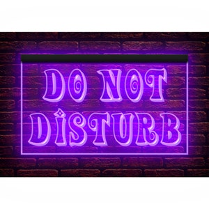 120190 Insegna luminosa al neon a LED per ufficio, negozio, negozio, negozio, non disturbare, silenzioso