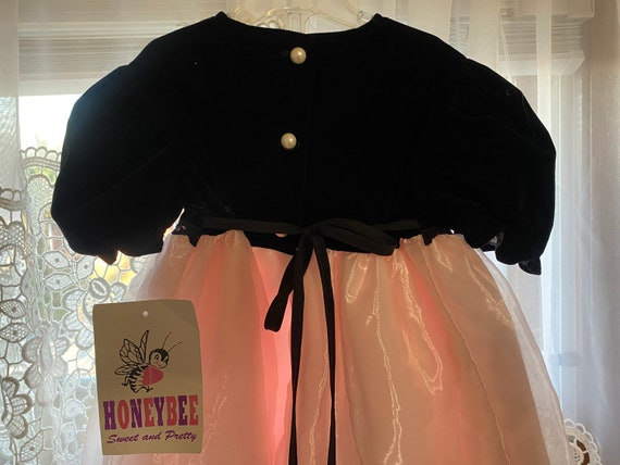 Girls 4T ~Vintage Dress NWT By HONEYBEE Pink & Bl… - image 2