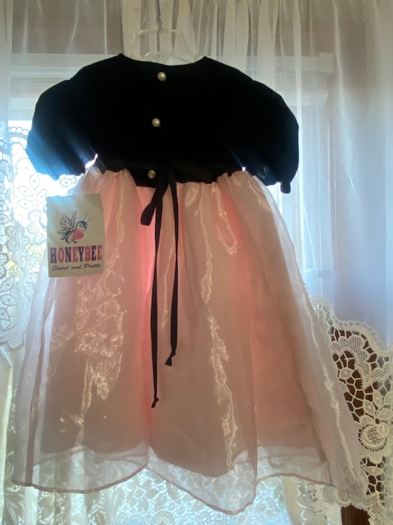 Girls 4T ~Vintage Dress NWT By HONEYBEE Pink & Bl… - image 5