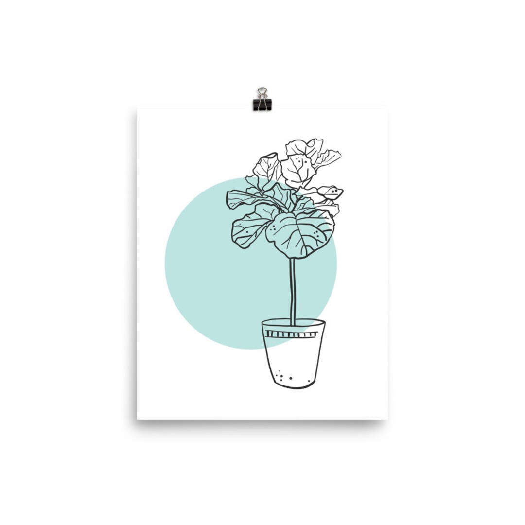 Fiddle Leaf Fig Line Drawing Art Print / Fiddle Leaf Fig Art / Etsy