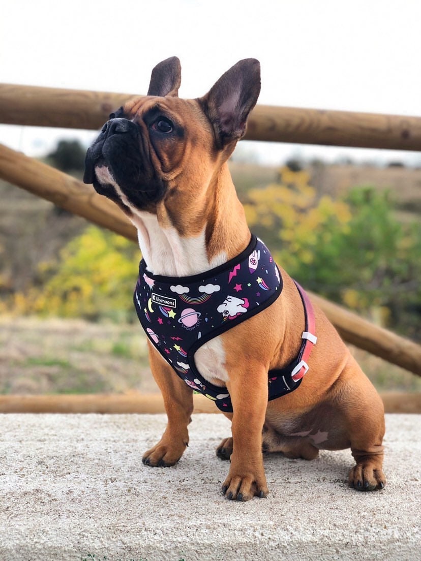 Dog Harness Duo Reversible HarnessAdjustable Dog Harness Etsy