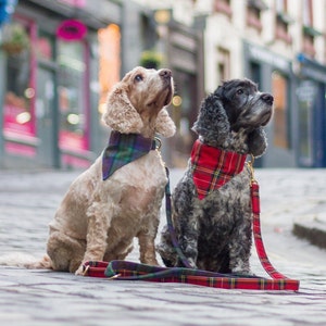 Scottish tartan DOG NECKERCHIEF handmade in Edinburgh