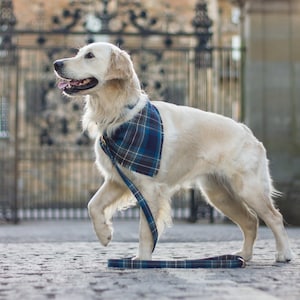 DOG BANDANA Scottish tartan