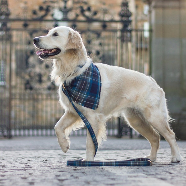 DOG BANDANA Tartan écossais